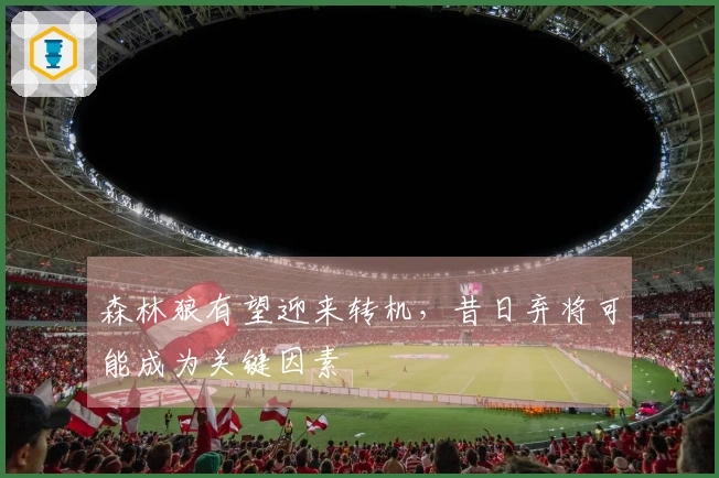 森林狼有望迎来转机，昔日弃将可能成为关键因素