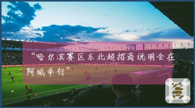 “哈尔滨赛区东北超招商说明会在阿城举行”